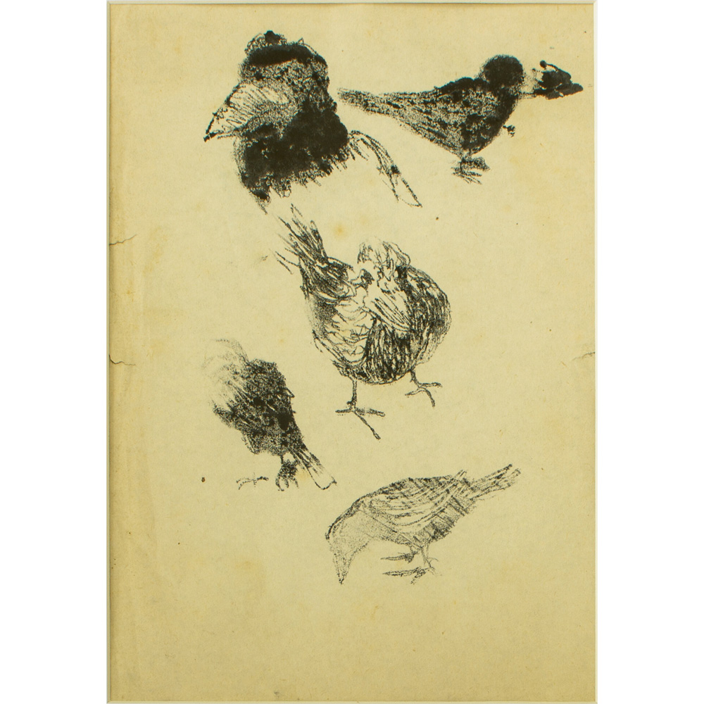 Crows1