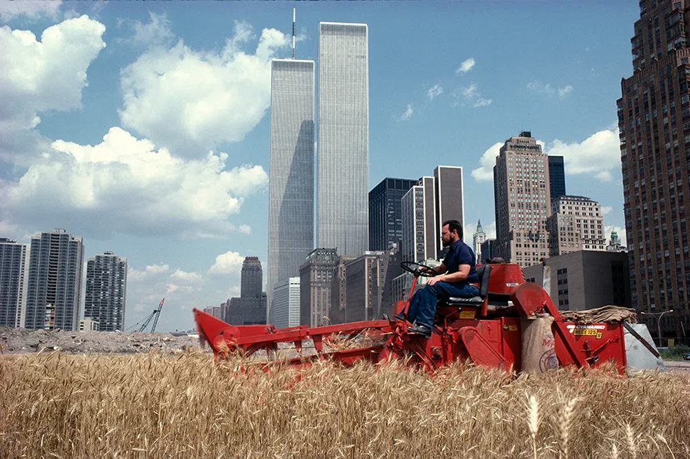 Weatfield (1982)