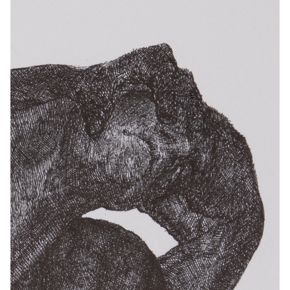 Colosse 1 (2021) - Image 2