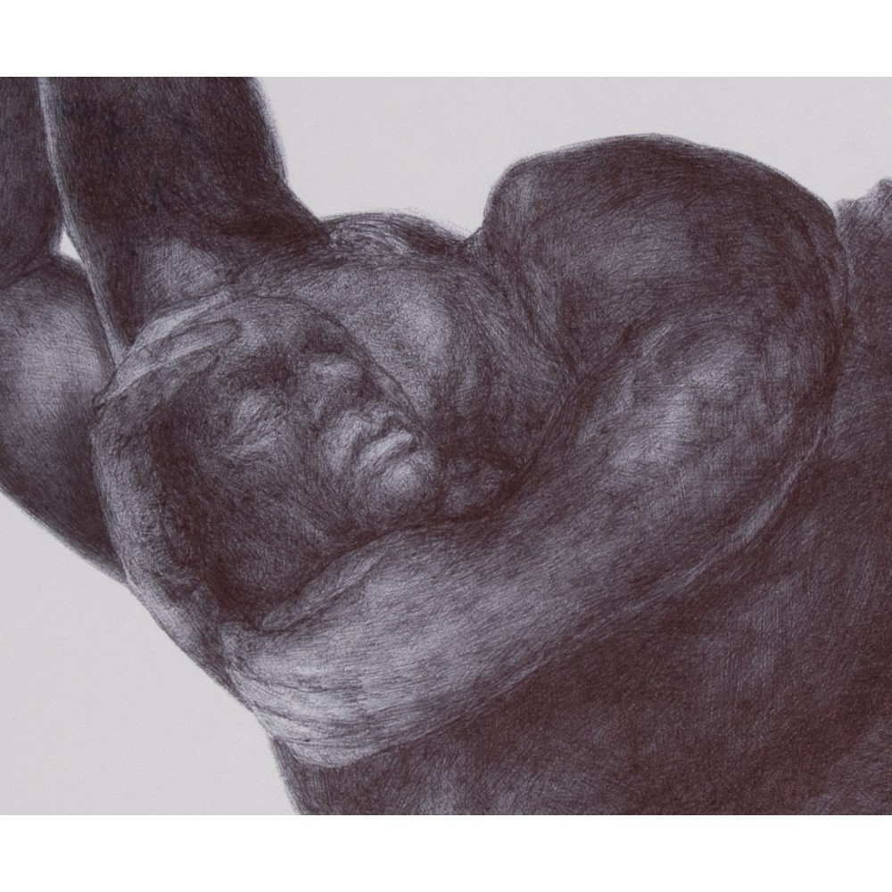 Colosse 19 (2023) - Image 2