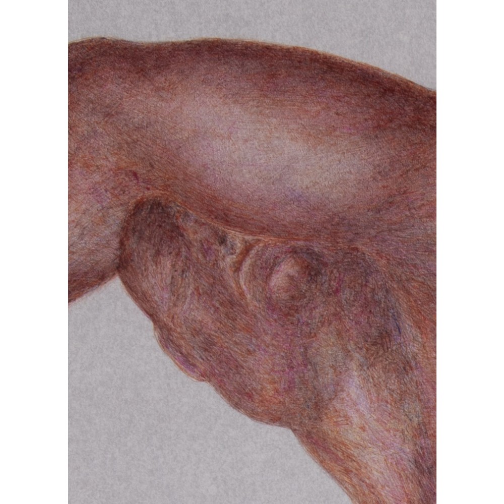 Colosse (2023) - Image 2